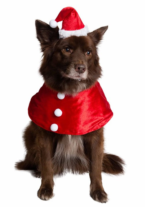 Santa Costume Collar for Pets - US 9614