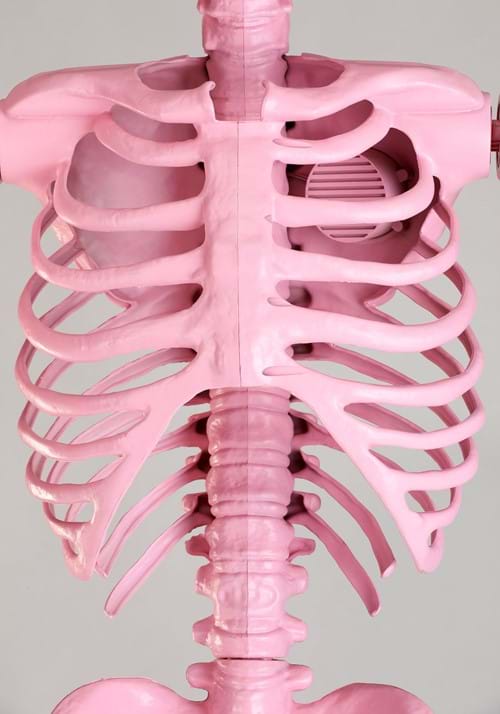 8FT Pink Ms. Vanderbones Skeleton Decoration - US 9326