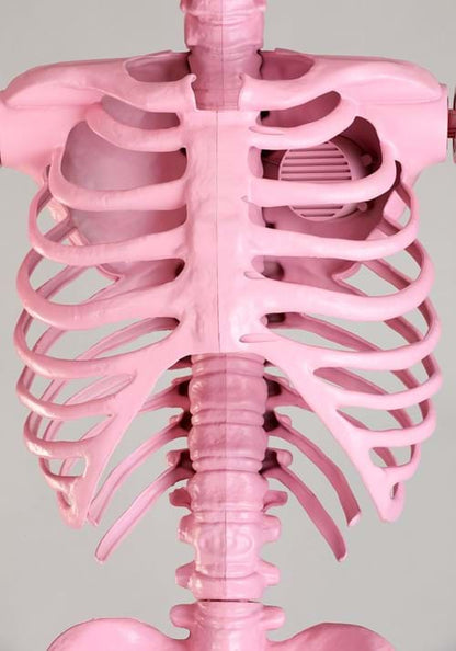 8FT Pink Ms. Vanderbones Skeleton Decoration - US 9326