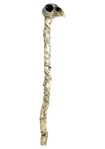 Plague Doctor Skull Crow Cane - US 8449