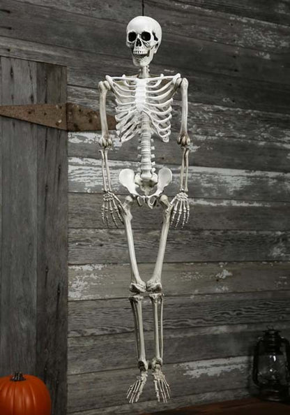 36-Inch Plastic Realistic Skeleton Halloween Decoration - US 9612