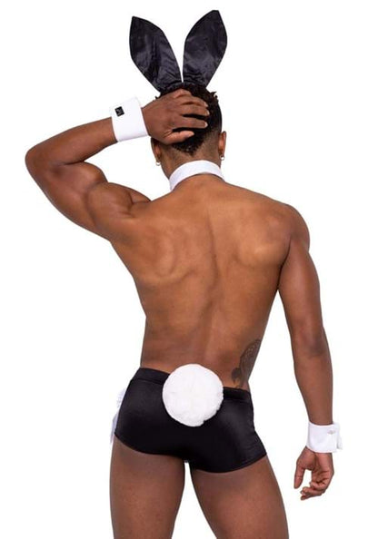 Playboy Hunky Playmate Costume for Men - US 8241