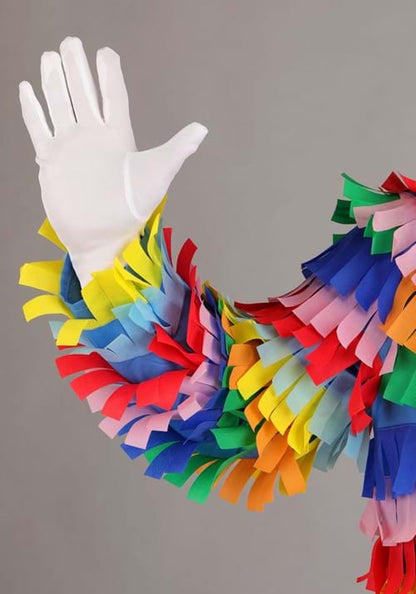Plus Size Piñata Costume for Adults - US 6941