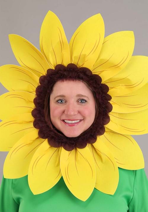Plus Size Potted Flower Costume for Adults - US 1139