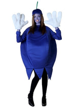 Adult Plus Size Blueberry Costume - US 4004