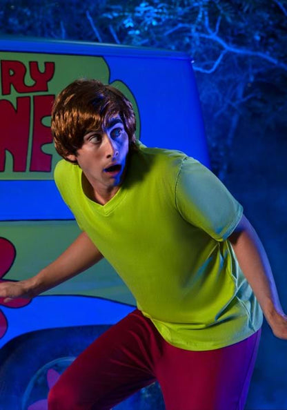 Plus Size Retro Scooby Doo Men's Shaggy Costume - US 8936