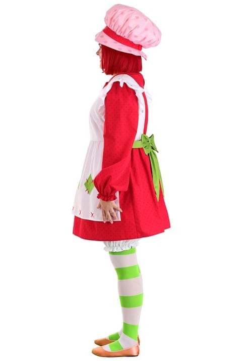 Women's Plus Size Retro Strawberry Shortcake Costume - US 4107