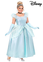 Plus Size Deluxe Disney Cinderella Costume Dress for Women - US 8704