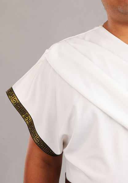 Plus Size Deluxe Greek Warrior Costume for Men - US 2012