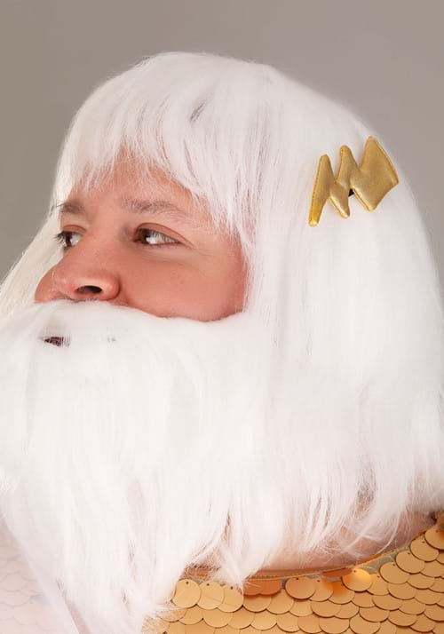 Plus Size Deluxe Zeus Men's Costume - US 0093