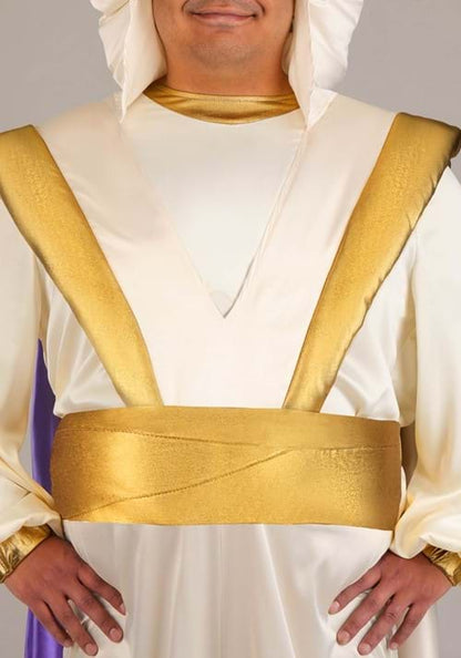 Plus Size Disney Aladdin Prince Ali Costume for Men - US 9703