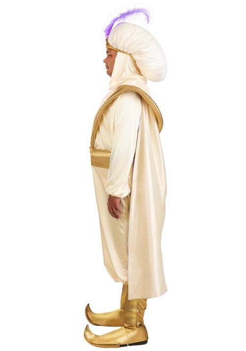 Plus Size Disney Aladdin Prince Ali Costume for Men - US 9703