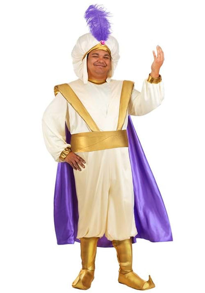 Plus Size Disney Aladdin Prince Ali Costume for Men - US 9703