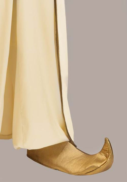 Plus Size Disney Aladdin Sultan Costume for Men - US 7241