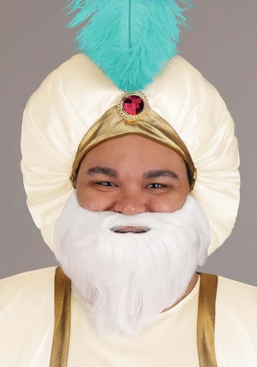 Plus Size Disney Aladdin Sultan Costume for Men - US 7241
