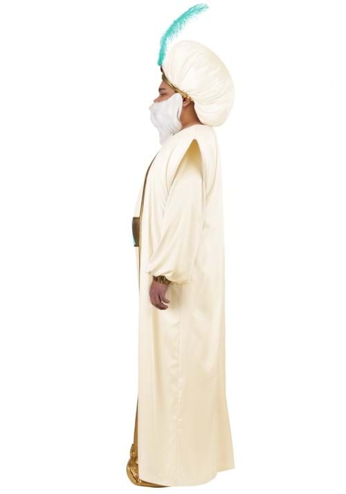 Plus Size Disney Aladdin Sultan Costume for Men - US 7241