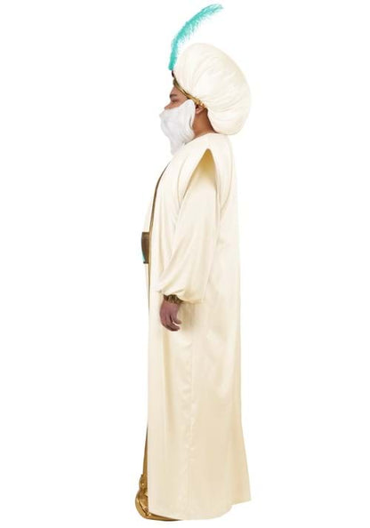 Plus Size Disney Aladdin Sultan Costume for Men - US 7241