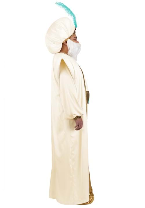 Plus Size Disney Aladdin Sultan Costume for Men - US 7241