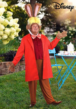 Plus Size Disney Alice in Wonderland March Hare Costume for Men - US 8537
