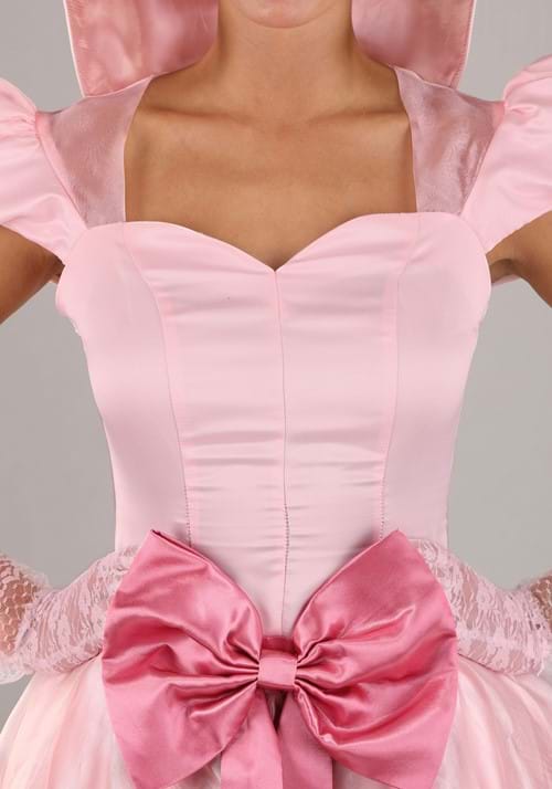 Women's Plus Size Disney Princess and the Frog Charlotte Costume Dress - US 3745