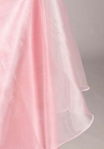 Women's Plus Size Disney Princess and the Frog Charlotte Costume Dress - US 3745