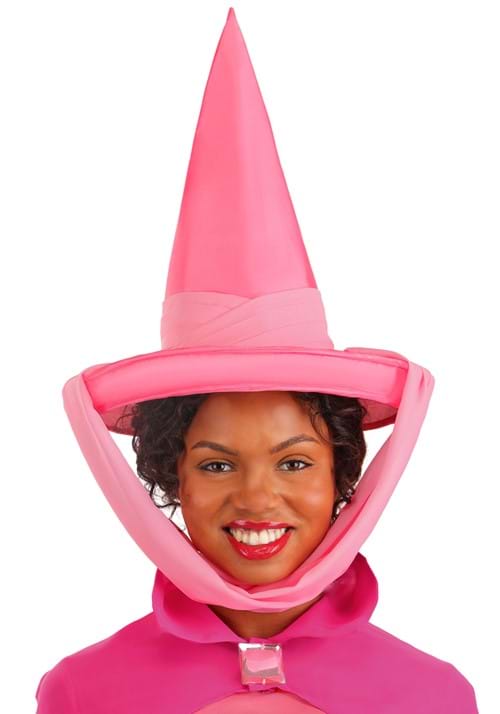 Plus Size Disney Sleeping Beauty Flora Costume for Women - US 9345
