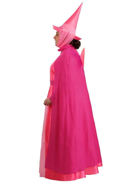 Plus Size Disney Sleeping Beauty Flora Costume for Women - US 9345