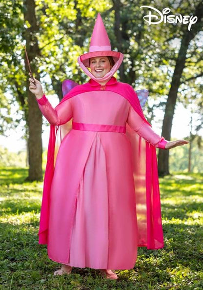 Plus Size Disney Sleeping Beauty Flora Costume for Women - US 9345