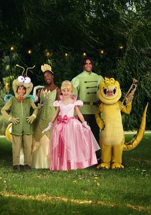 Plus Size Men's Disney Prince Naveen Costume - US 0889