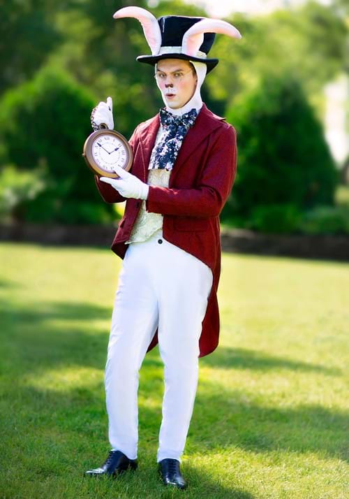 Plus Size Men's White Rabbit Costume - US 6720