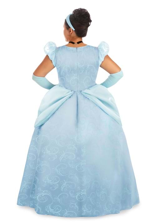 Women's Plus Size Disney Premium Cinderella Costume - US 5897