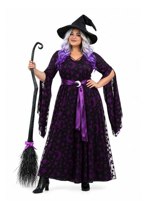 Plus Size Purple Moon Witch Women's Costume - US 1229