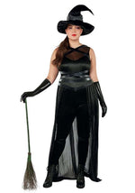 Women's Plus Size Sexy Raven Witch Costume - US 4709