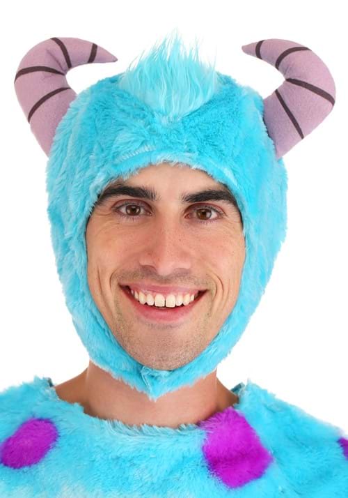 Monsters Inc Plus Size Sulley Costume - US 6660