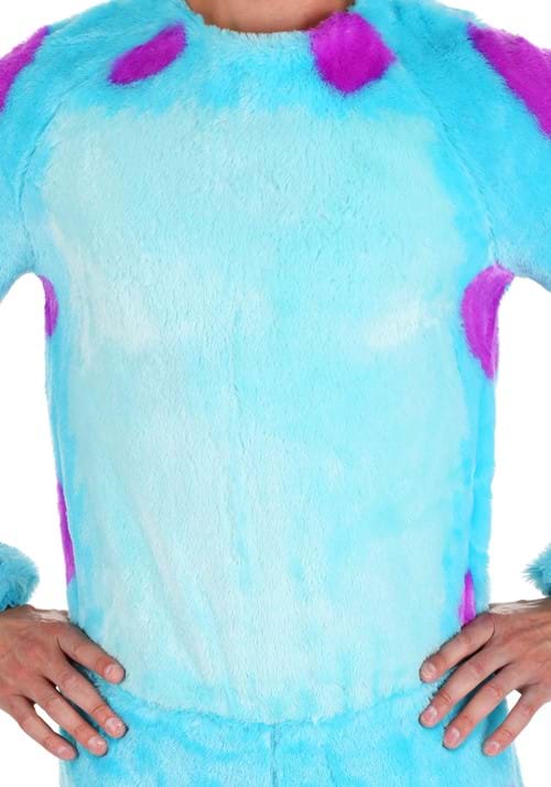 Monsters Inc Plus Size Sulley Costume - US 6660