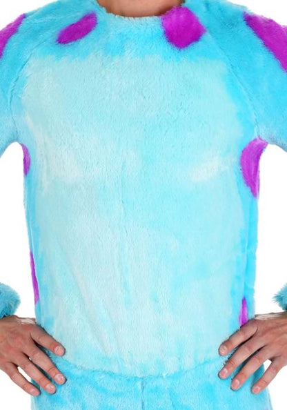 Monsters Inc Plus Size Sulley Costume - US 6660