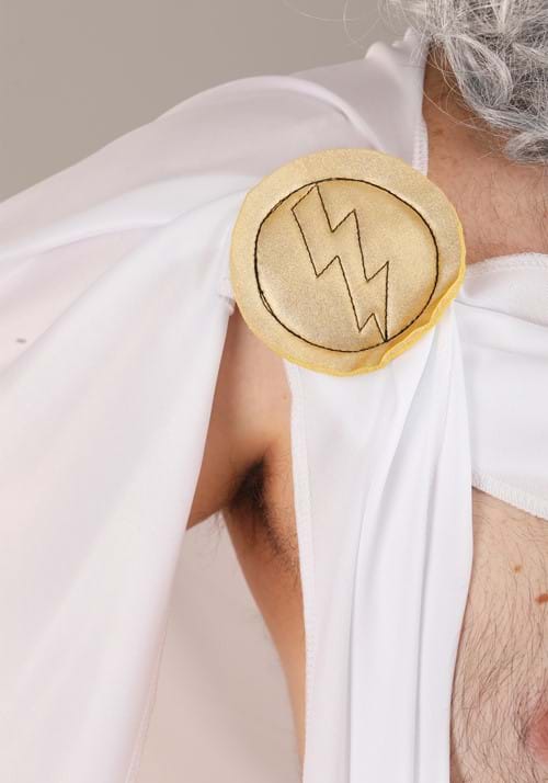 Plus Size Zeus Costume for Men - US 6884