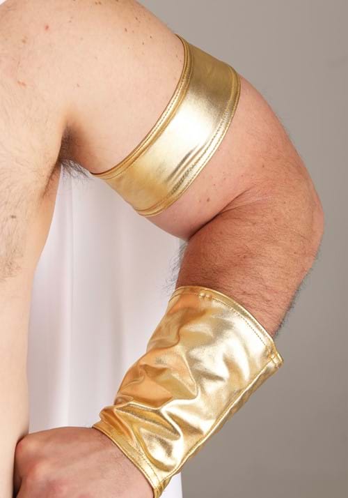Plus Size Zeus Costume for Men - US 6884