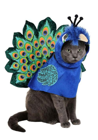 Pretty as a Peacock Dog Costume - US 2849