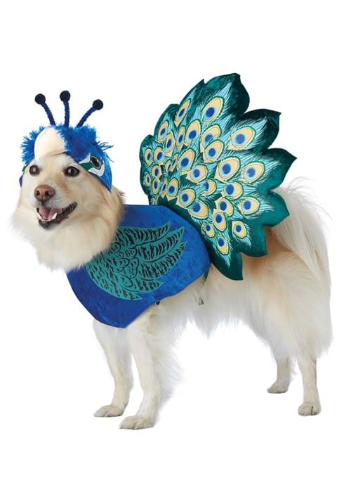Pretty as a Peacock Dog Costume - US 2849