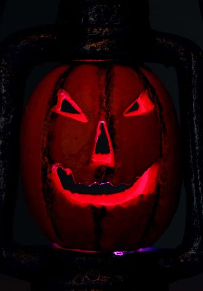 14-Inch Light Up LED Pumpkin Lantern Decoration - US 4641