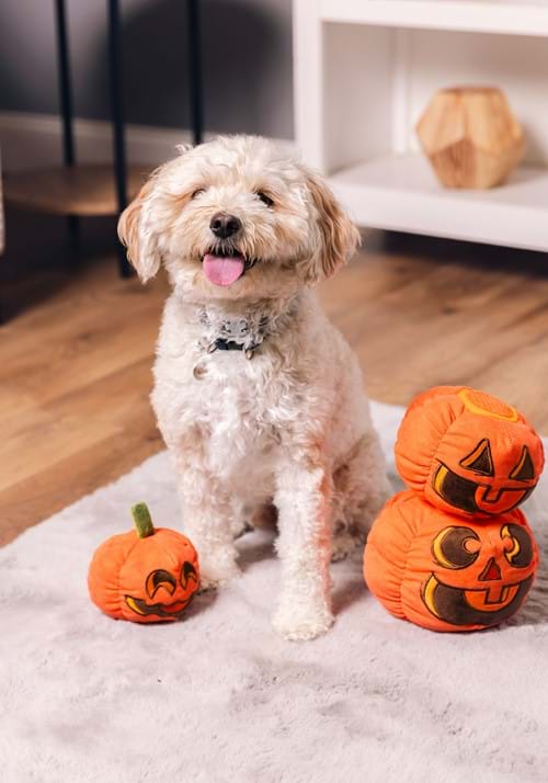 Pumpkin Pals Pet Squeaky Toy - US 0463