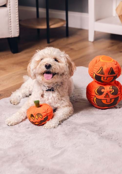 Pumpkin Pals Pet Squeaky Toy - US 0463