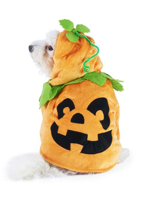Pet Pumpkin Costume - US 6847