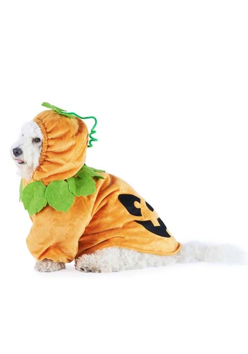 Pet Pumpkin Costume - US 6847