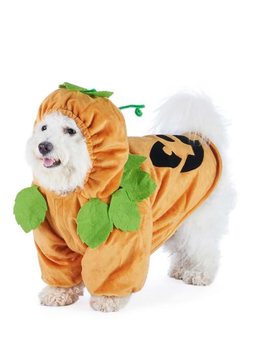 Pet Pumpkin Costume - US 6847