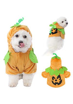Pet Pumpkin Costume - US 6847