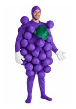Adult Purple Grapes Costume - US 5293