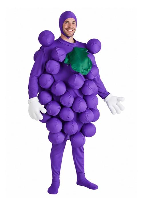 Adult Purple Grapes Costume - US 5293