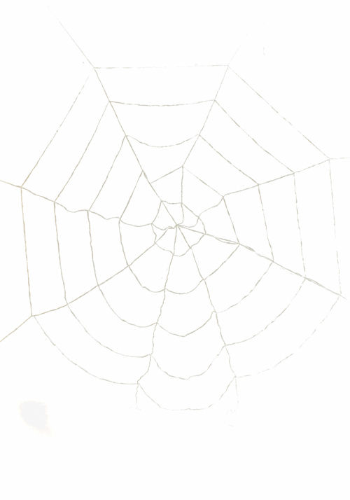 Purple Light-Up Spider Web Prop Decoration - US 9689